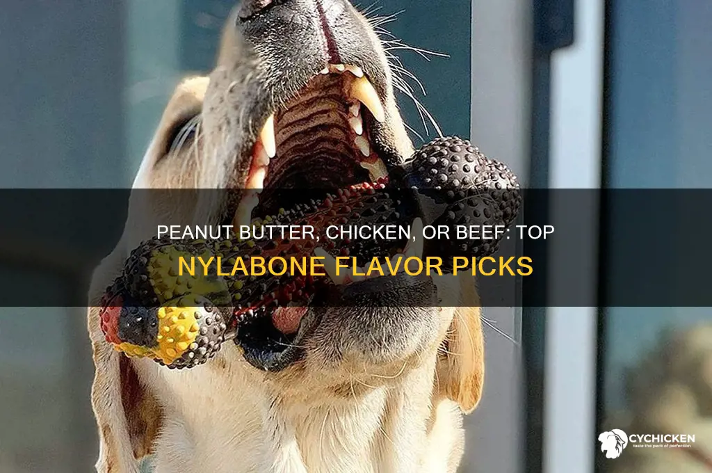 which nylabone flavor best peanut butter chicken beef