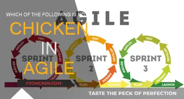 Agile Methodologies: Uncovering the Non-Chicken Entities