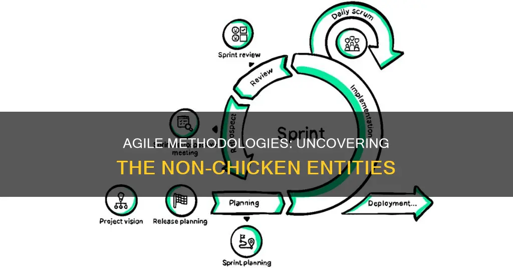 which of the following is not a chicken in agile