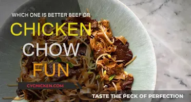 Beef or Chicken Chow Fun: Which One Wins?