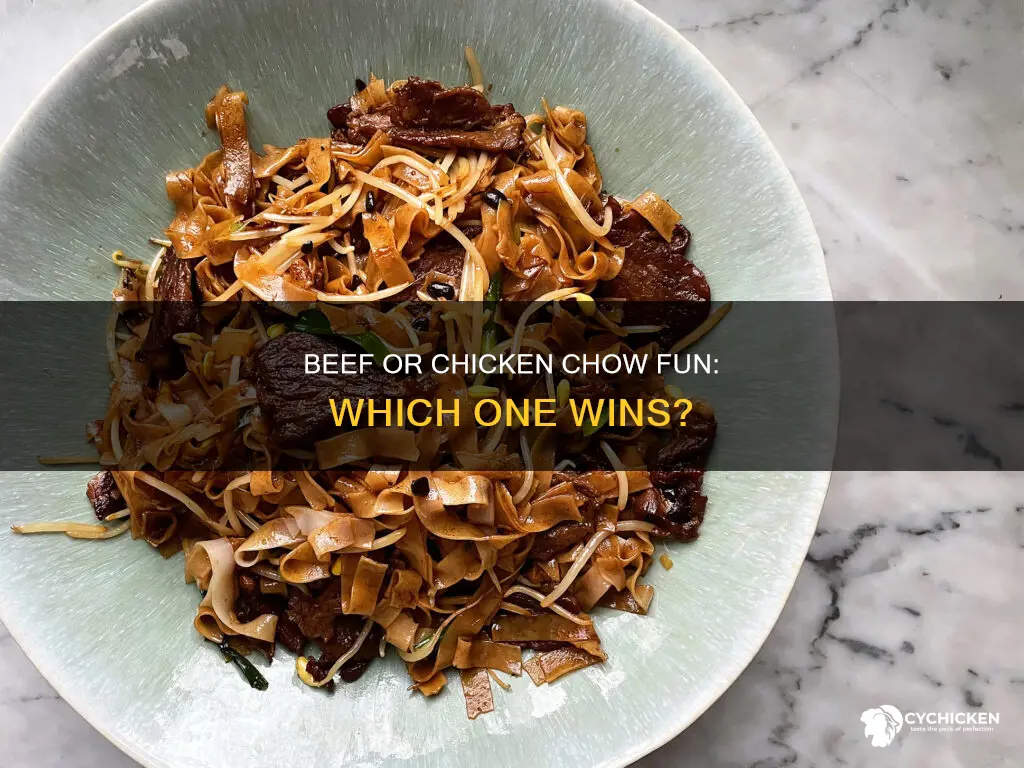 which one is better beef or chicken chow fun