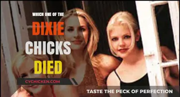 Remembering the Dixie Chicks Member Who Passed Away: A Tribute