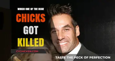Debunking the Myth: No Dixie Chicks Member Was Ever Killed