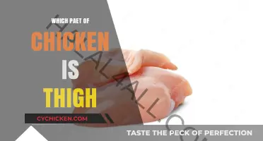 Understanding Chicken Anatomy: Identifying the Thigh and Its Culinary Uses