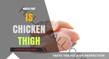 Understanding Chicken Thighs: Location, Anatomy, and Culinary Uses Explained