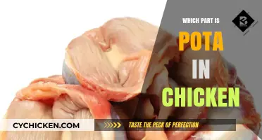 Exploring the Anatomy of Chicken: Where's the Pota?