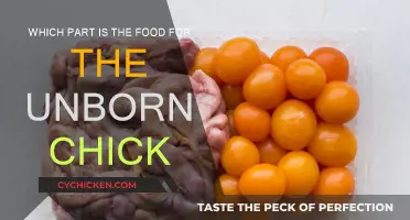 Yolk: The Unborn Chick's Essential Nutrition Source