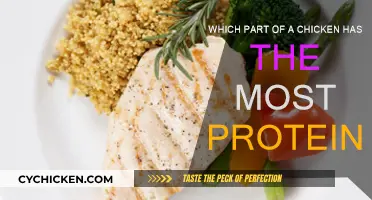 Maximizing Protein Intake: The Best Chicken Parts