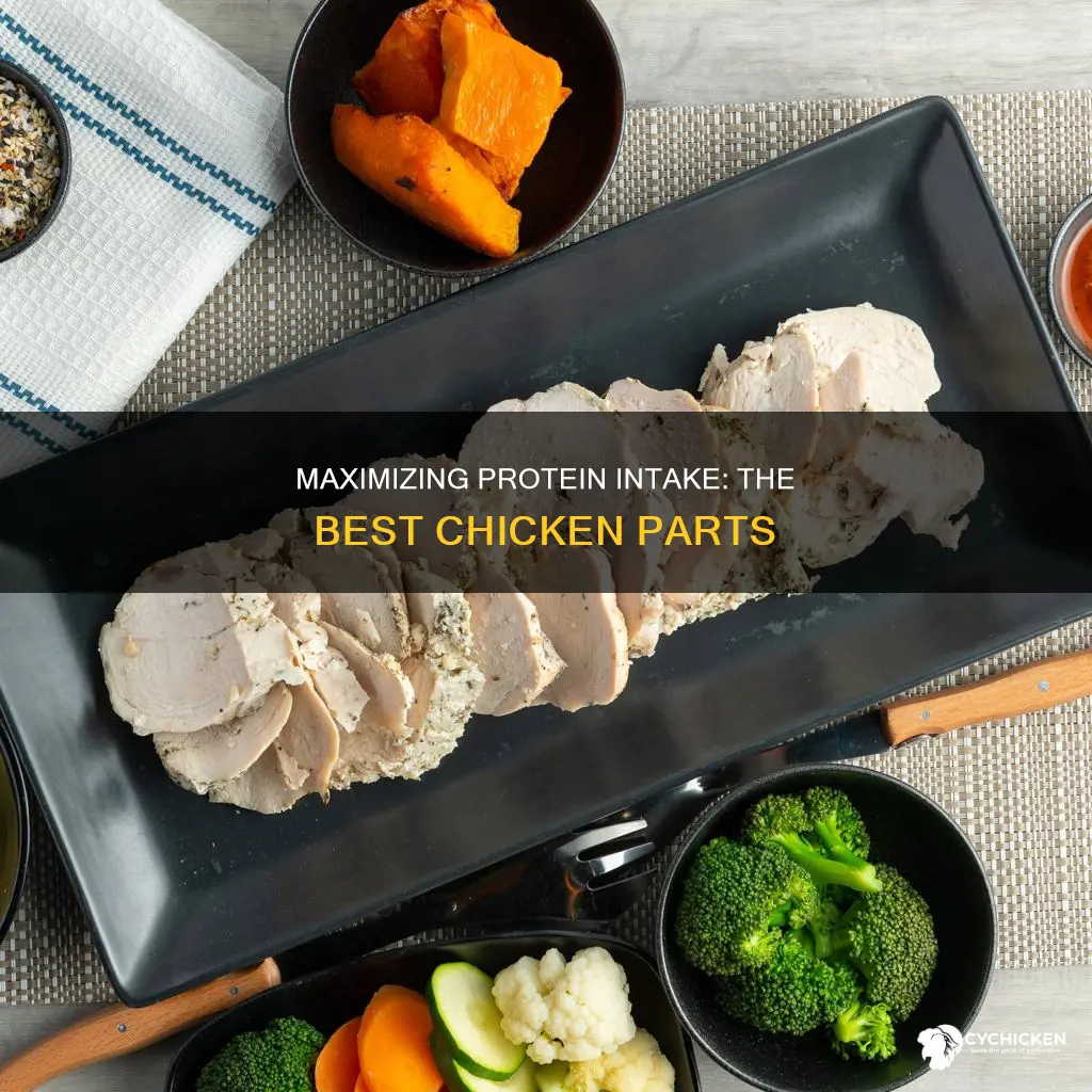 which part of a chicken has the most protein