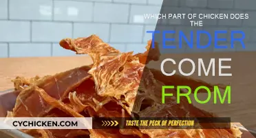 Where Do Chicken Tenders Come From?