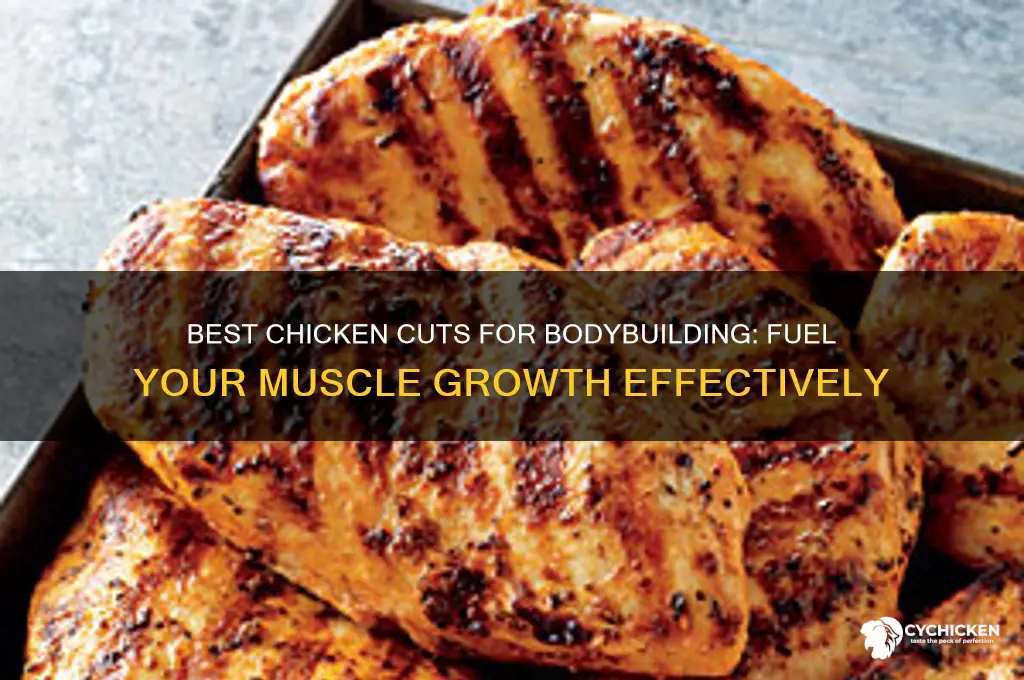 which part of chicken is best for bodybuilding