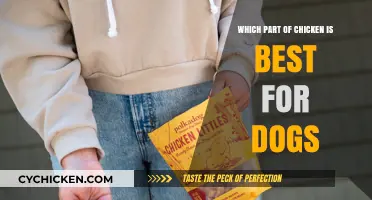 Best Chicken Parts for Dogs: Safe and Nutritious Choices