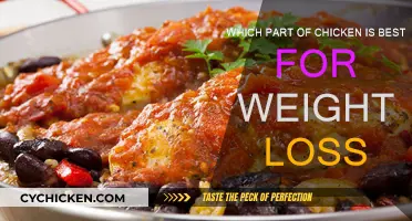 Best Chicken Cuts for Weight Loss