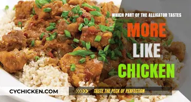 Alligator Meat: Which Part Tastes Surprisingly Like Chicken?
