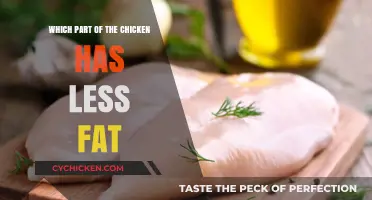 Lean Chicken Cuts: Discover the Lowest-Fat Parts for Healthy Meals