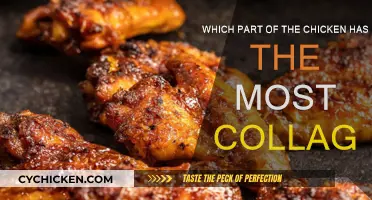 Collagen-rich Chicken Parts: What You Need to Know