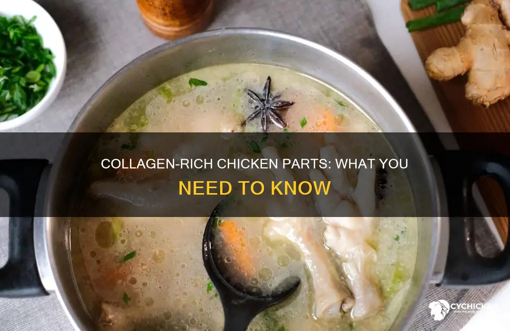 which part of the chicken has the most collagen