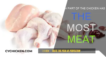 Chicken Meat: Where's the Most Meat Found?