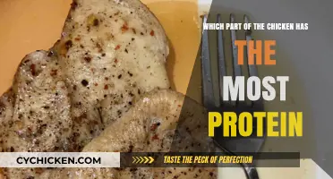 Chicken Protein Power: Know Your Cuts