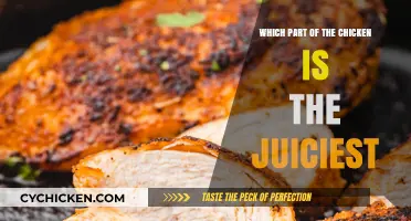 Discover the Juiciest Chicken Part: A Tasty Guide to Moistness