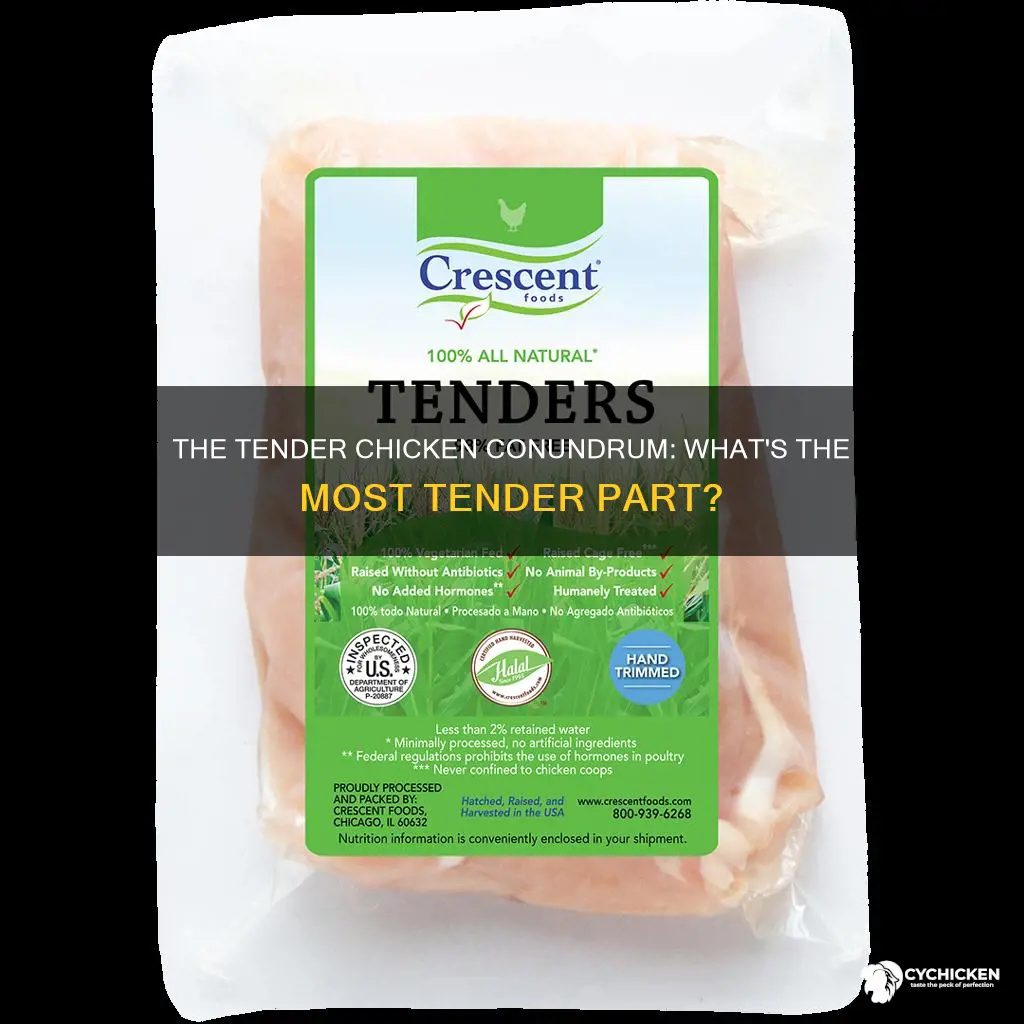 which part of the chicken is the most tender