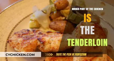 Discover the Chicken Tenderloin: Location, Uses, and Cooking Tips