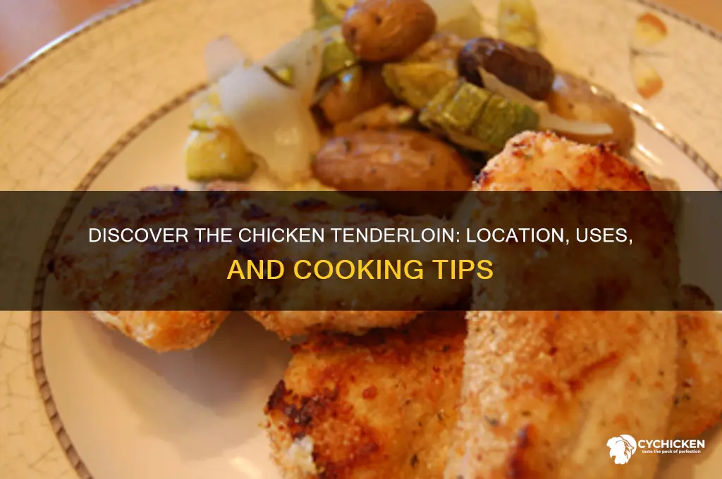 which part of the chicken is the tenderloin