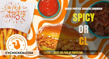 Popeyes Chicken Sandwich Showdown: Spicy vs. Classic - Which Reigns Supreme?