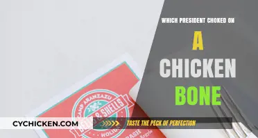 The Chicken Bone Choking Incident: A Presidential History Lesson