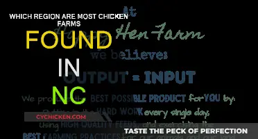 Chicken Farms: Where in North Carolina?