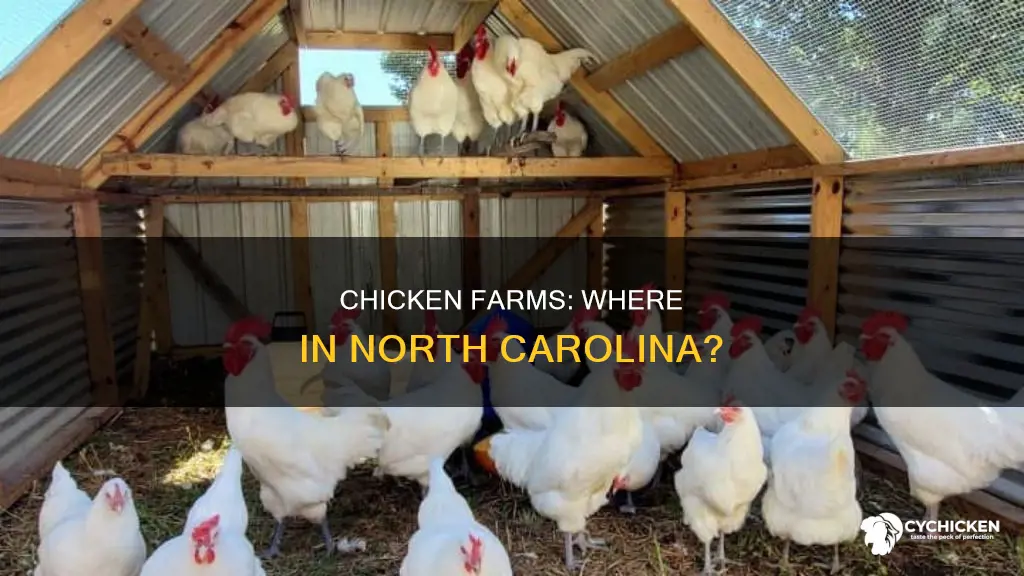 which region are most chicken farms found in nc