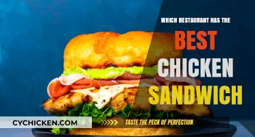 The Ultimate Chicken Sandwich Showdown: Top Restaurant Picks