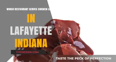 Savoring Lafayette: A Guide to Chicken Liver Delights