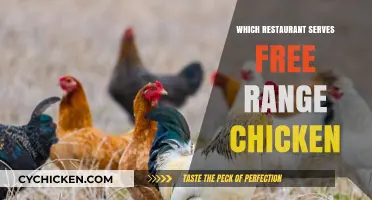 Discovering Local Eateries: Where to Find Free-Range Chicken Delights