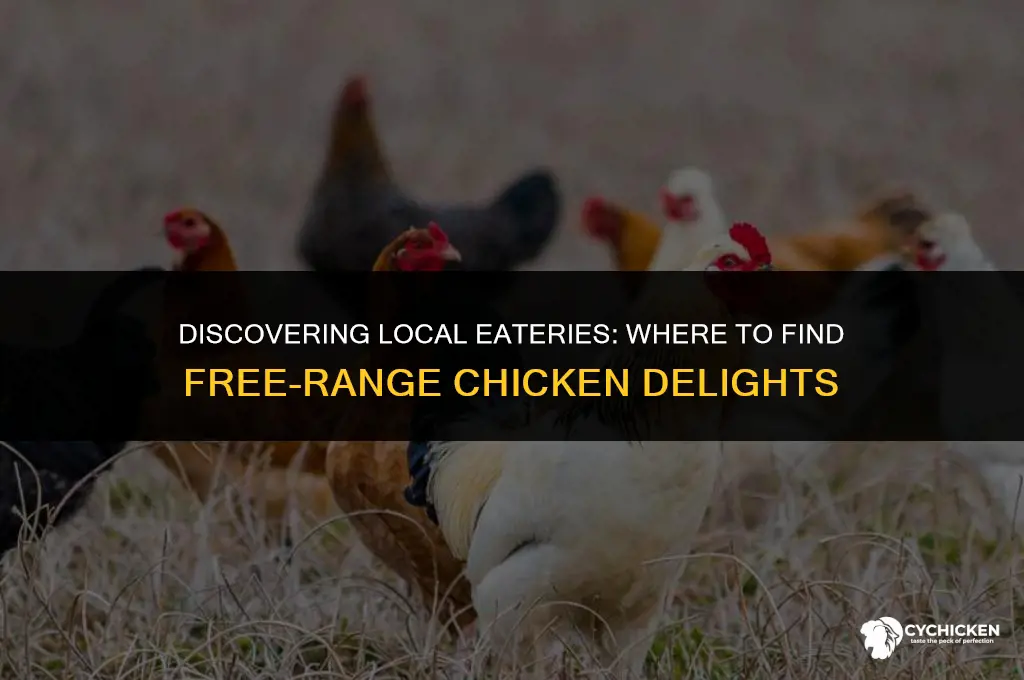 which restaurant serves free range chicken