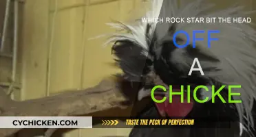 Rock Star's Bizarre Act: Biting Off a Chicken's Head