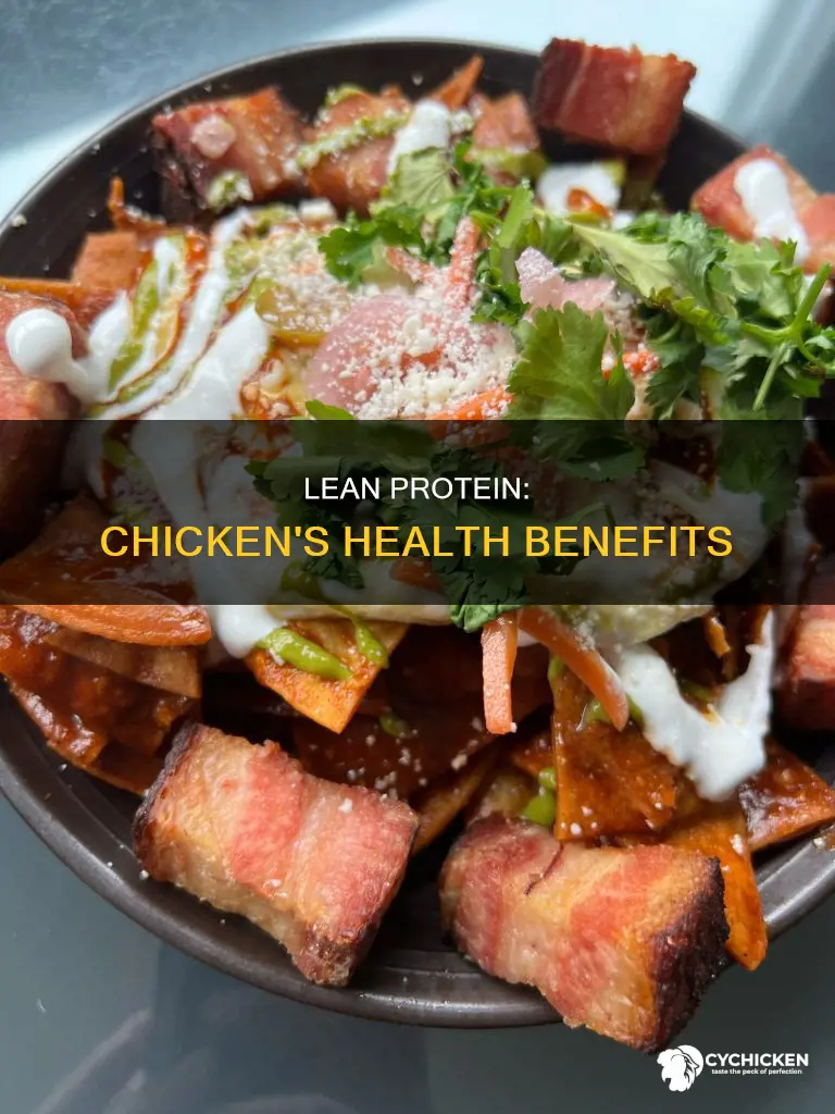 which sentence is written correctly chicken a lean protein