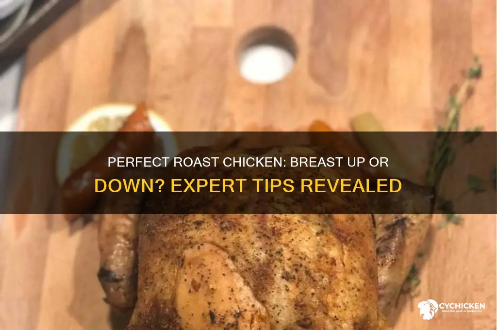 which side goes up when roasting a chicken