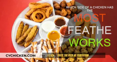 Feather Facts: Which Chicken Side Has More?