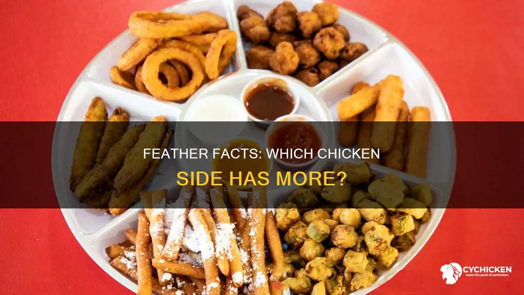 which side of a chicken has the most feathers worksheet
