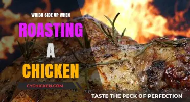 Perfect Roast Chicken: Mastering the Art of Which Side Up