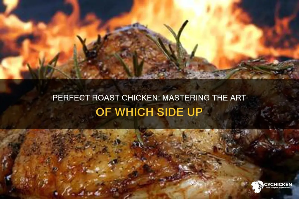 which side up when roasting a chicken