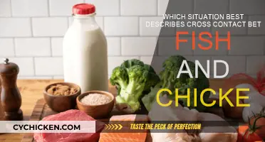 Preventing Cross-Contact: Fish and Chicken