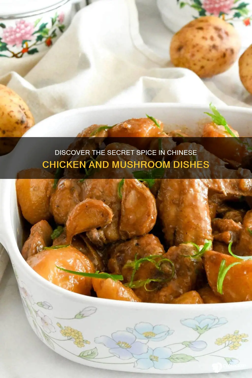 which spice adds warmth to chinese chicken and mushroom