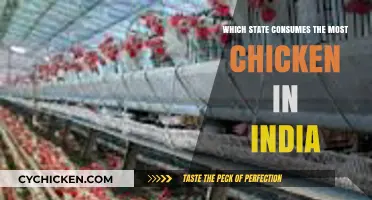 India's Top Chicken-Consuming State: A Surprising Culinary Leader