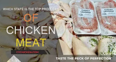 Chicken Meat Production: Which State Rules the Roost?