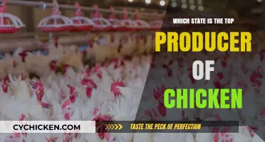 Leading Chicken Producer: Which U.S. State Tops the Poultry Industry?
