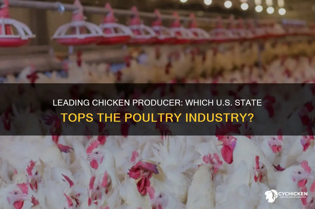 which state is the top producer of chicken