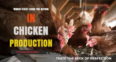 Top Chicken Producing State: Leading the Nation in Poultry Production