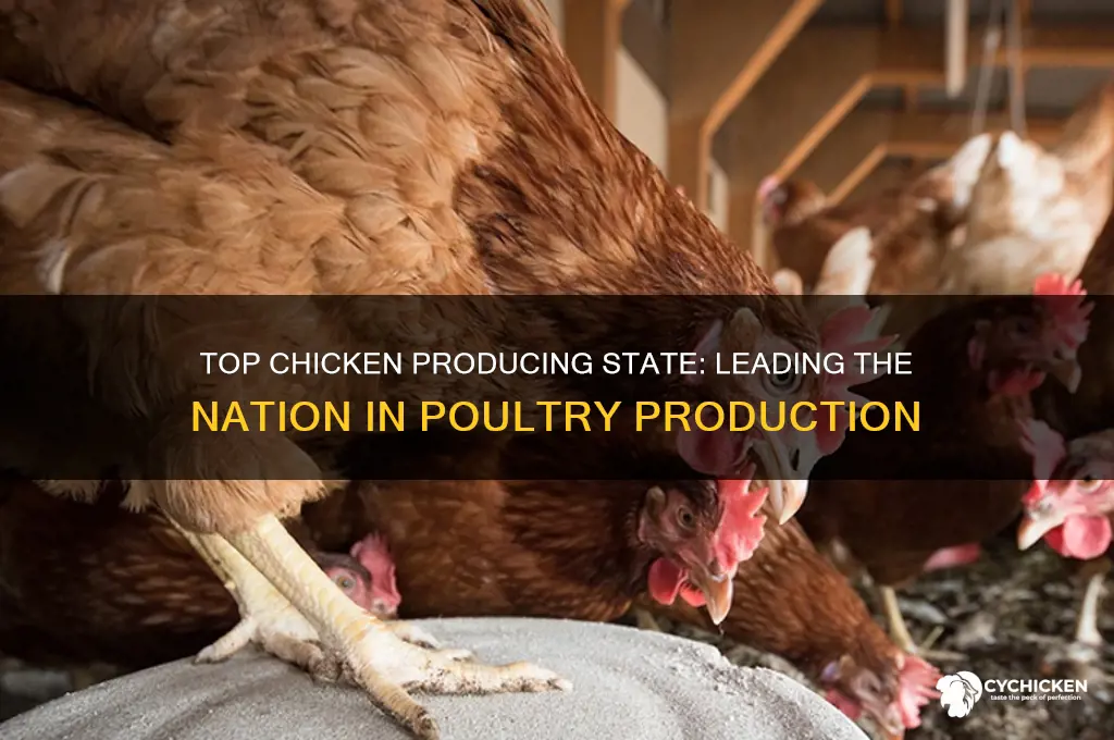 which state leads the nation in chicken production